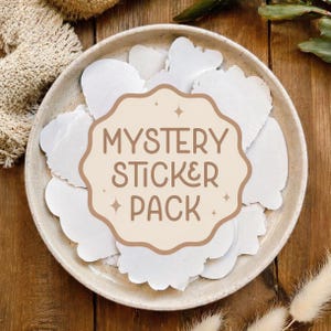 Mystery-stickerpakket – 15 willekeurige vinylstickers (2–5 inch) – diverse stickers
