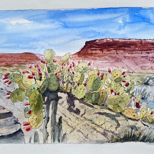 Kakteen vor Canyon, USA, Aquarell mit Tusche, 23x31cm