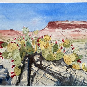 Kakteen vor Canyon, USA, Aquarell, 23x31cm