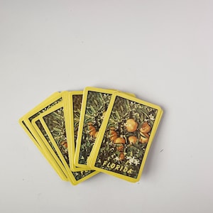 Vintage Spielkarten – Florida & Kentucky – Retro 1970er Jahre Sammelkarten-Decks