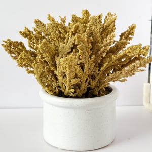 Goldenrod Fall Faux Plant in White Speckled Pot – 10″ Tall Neutral Fall Decor, Shelf Styling Accent, Artificial Autumn Arrangement