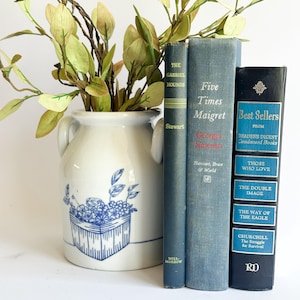 Puede incluir: Un jarrón de cerámica blanca con diseños florales azules y dos asas contiene ramas frondosas. Tres libros antiguos en tonos azules y negros están junto al jarrón. Los libros tienen títulos como "The Gabriel Hounds" y "Best Sellers."