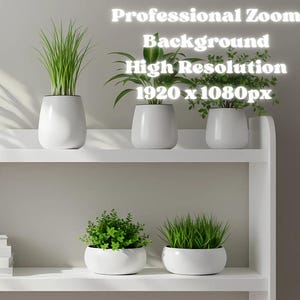 May include: A white bookshelf displays various potted plants with green foliage. The plants are in white, rounded pots. The text "Professional Zoom Background High Resolution 1920 x 1080px" is visible in the upper right corner.