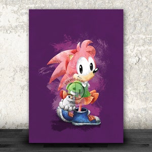 Sonic the Hedgehog Coleção Clássica do Sonic Flagelo Amy Rose