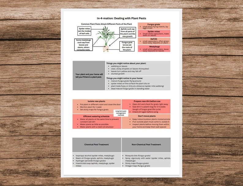 Pattison Planting Guide.pdf Plant Care Bundle - Houseplant Guide Bundle - Plant Care Schedule ...