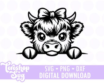 Peeking Highland Cow Head, Cow Svg, Cow Clipart, Cow Png, Cow Head, Png, Cut files for Cricut, Silhouette, COD005