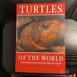 May include: A white ceramic mug with a black handle and the text "But First, Coffee" in a bold, black font. The mug is set against a neutral background, highlighting its simple design.