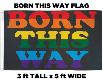 Born This Way Pride Flag