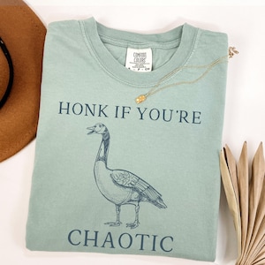 Camiseta divertida con meme de ganso, toca la bocina si estás caótico, camiseta con humor sobre TDAH, regalo divertido para ella o para él, camisetas casuales unisex, camiseta monocromática con meme