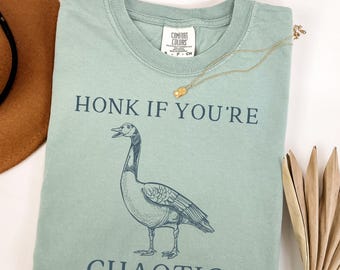 May include: A light blue t-shirt with a drawing of a goose and the text "Honk if you're chaotic".