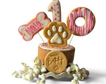 May include: A small round cake topped with a bone-shaped cookie labeled Nala, a number one cookie, a paw print cookie, and a donut-shaped cookie. A circular cookie embossed with Happy Birthday and a paw print sits on the front, surrounded by popcorn.