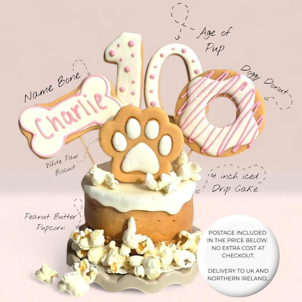 Dog Birthday Cake treat box with iced biscuit toppers, Homemade Personalised iced cake - healthy DOGGY GIFT for puppy dog - Pink and white