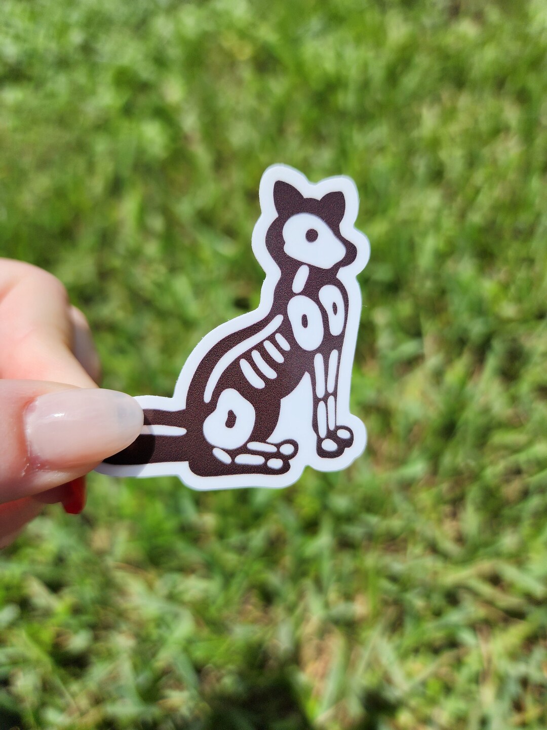 Coyote Skeleton Sticker L Water Bottle Sticker - Etsy