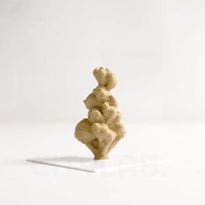 Op de afbeelding: Een beige, abstract beeldhouwwerk dat lijkt op koraal of een plant. Het gelaagde ontwerp heeft een textuur, met een basis en meerdere afgeronde, organische vormen die verticaal zijn gestapeld. Het beeldhouwwerk staat tegen een witte achtergrond.