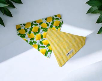 Reversible Dog/Cat Bandana