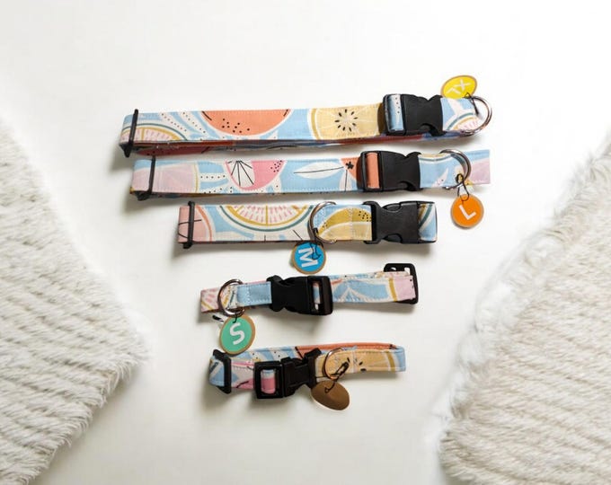 Featured listing image: Summer Citrus Pet Collar