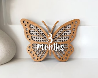 Rattan Butterfly Monthly Milestone Marker Boho Butterfly Milestone Disc Butterfly Boho Theme Photo Props Personalized Butterfly Name Sign
