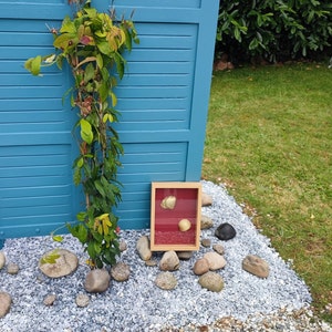 Golden shell decoration frame