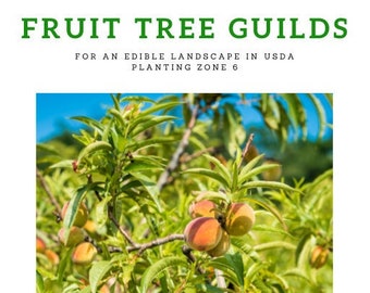 Obstbaumgilden Für eine essbare Landschaft im USDA Planting Zone 6 Guide