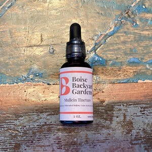 Mullein Tincture - herbal supplement, wildcrafted