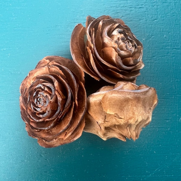 MEDIUM Cedar Rose Cones, Rosette Pine Cones, Rose Pinecones, Deodara Cedar Rose Cones