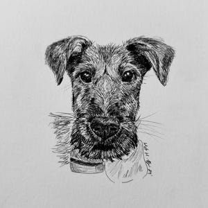 Custom Pet Portrait - Made to order!