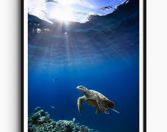 Ocean Print, Sea Turtle Photo, Sea Turtle Art, Sea Turtle Wall Art, Sea Turtle Artwork, Sea Turtle Print, Turtle Art, Colorful Art