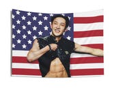 Stray Kids ヒョンジン ブランケット タペストリー フラッグ Stray Kids Hyunjin Flag Banner, SKZ Hyunjin American Flag