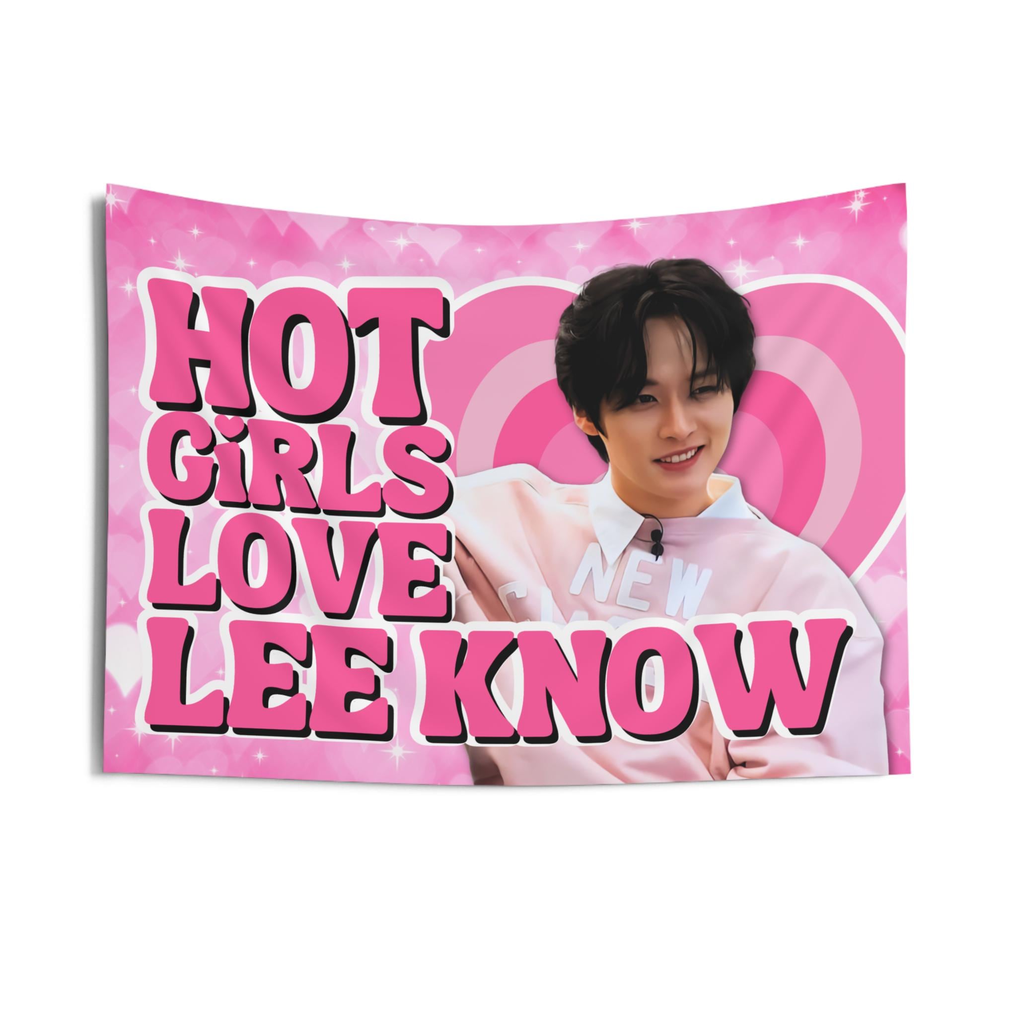 Skz Lee Know Pink Sweater Hot Girls Concert Flag Banner: Stray