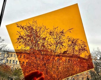 May include: A square, transparent, yellow-orange sheet held up to a window, with a view of trees and a building. The sheet filters the scene, giving it a warm, autumnal hue. The hand holding the sheet has red nail polish.