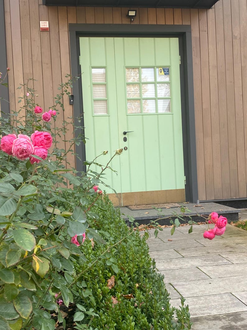 May include: A light green door with a windowed upper section and a smaller window to the left. The door is set in a dark gray frame against a wood-paneled wall. Pink roses and green foliage are in the foreground, with a stone walkway.