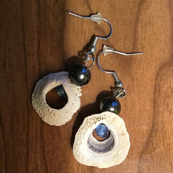 Barnacle and Hematite earrings