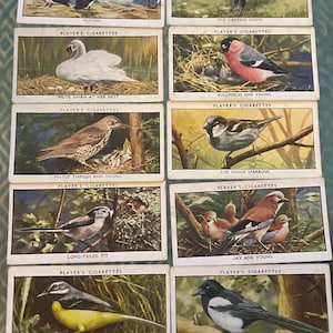 A Set of 1932 Wild Bird Cards, Contained in a 1910/20’s Cigarette Packet.