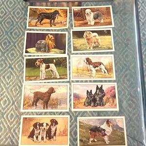 Een set hondenkaarten uit 1936, verpakt in een sigarettenpakje uit WO1.