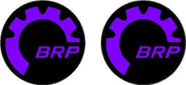 Ryker Emblems Laminated Canam Ryker Pair of BRP Emblem's in Your Choice of 2.3