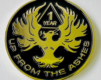 Phoenix Rising Recovery Gift AA Sobriety NA Hope Chip Medallion Coin Token