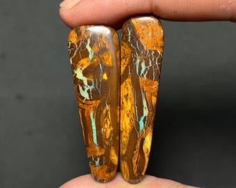 pair opal wood australia unique 28.65ct