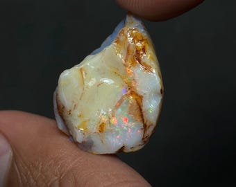 australian opal shell cooberpedy rare item HQ