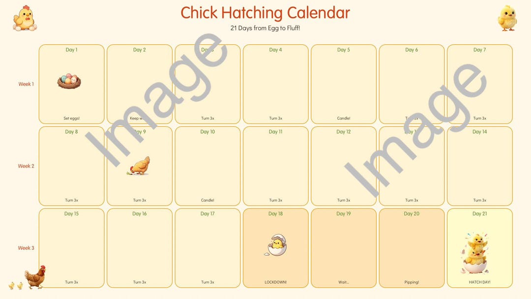 Chick Hatching Calendar - Etsy