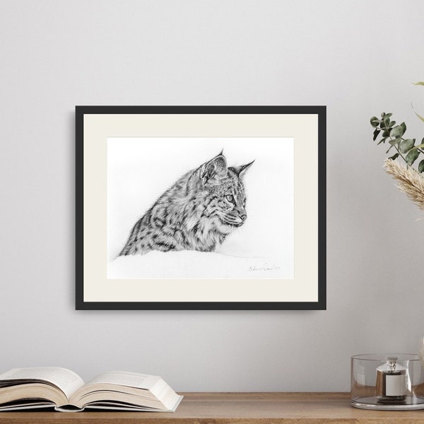 Luchs Bild als schwarz weiß Kunstdruck, Katzen Bild, Geschenk für Katzenliebhaber, Bleistift