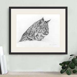 Lynx picture as black and white art print, cat picture, gift for cat lovers, pencil