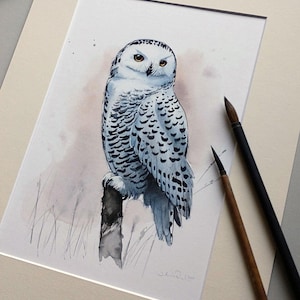 Original Watercolor Snowy Owl – Hand-Painted Owl Art, Nature Illustration, Bird Portrait, Unique Wall Art