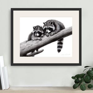 Raccoon art print, pencil drawing, raccoon, wild animal wall art, gift idea for nature lovers and raccoon fans