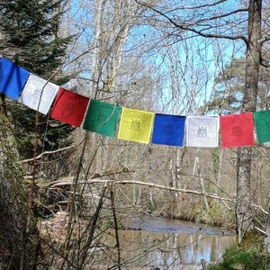Könnte beinhalten: Eine Reihe bunter Gebetsfahnen, die in einer Waldlandschaft hängen. Die Fahnen sind aus Stoff und haben verschiedene Designs und Farben, darunter Blau, Rot, Grün, Gelb und Weiß. Die Fahnen hängen an einem Ast und werden vom Wind geweht.