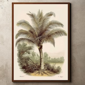 Vintage Palm Tree Drawing, Rustic Antique Farmhouse Print, Botanical Sketch, Vintage Tropical Jungle Palm Tree Art, Antique Palm Tree Print