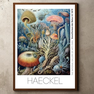 Ernst Haeckel Inspired Print, Ernst Haeckel Poster, Printable Wall Art, Floral Illustrations, Marine Life Prints, Fish Poster, Coral Reef