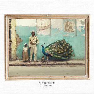 Foto coloniale, arte della parete della giungla, cartolina d'epoca, stile coloniale britannico, arredamento tropicale botanico, Commonwealth britannico, pavone vintage