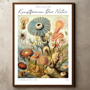 Ernst Haeckel Inspired Print, Ernst Haeckel Poster, Printable Wall Art, Floral Illustrations, Marine Life Prints, Sea Anemone Poster Print