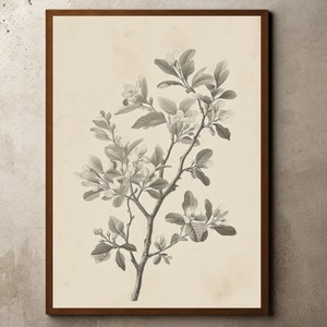 Vintage antike Blumen Zeichnung, Blumen Wandkunst, Blumen Stilleben, Bauernhaus Dekor, botanische Skizze, Radierung Druck, einfache Zweig Zeichnung