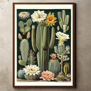 Vintage Kaktus Illustration, Botanisches Poster, Neutrales Dekor, Blumenwandkunst, Vintage Kaktus Skizze, antike Kaktusdruck, Bauernhausdekor